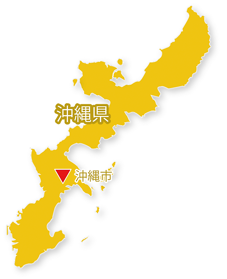 むさし鍼灸整骨院グループ店舗沖縄地方分布地図